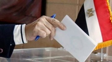 «سباق نحو السلطة» انتخابات مجلس الشيوخ 2025: صراع الأفكار يشتعل لتحديد مستقبل البلاد