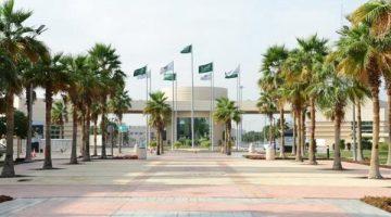 «فرص أكاديمية واعدة» الجامعات تعلن عن وظائف جديدة لأعضاء هيئة التدريس والباحثين