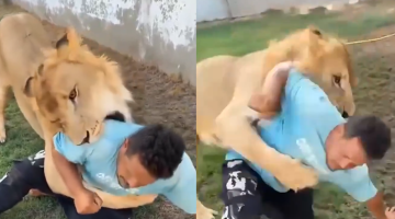 عامل مصري يكشف حقيقة فيديو إطلاق الأسد عليه في ليبيا بعد موجة غضب