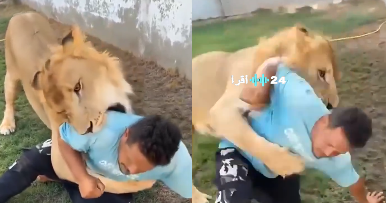 عامل مصري يكشف حقيقة فيديو إطلاق الأسد عليه في ليبيا بعد موجة غضب