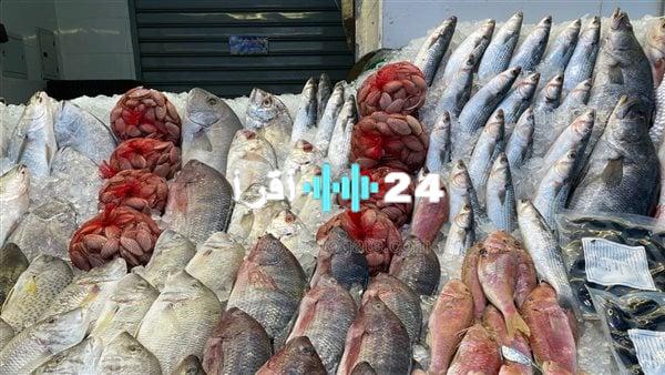 «أسعار السمك اليوم تتغير بسرعة» قفزة في 3 أصناف بينها البوري وتراجع ملحوظ في المكرونة والجمبري