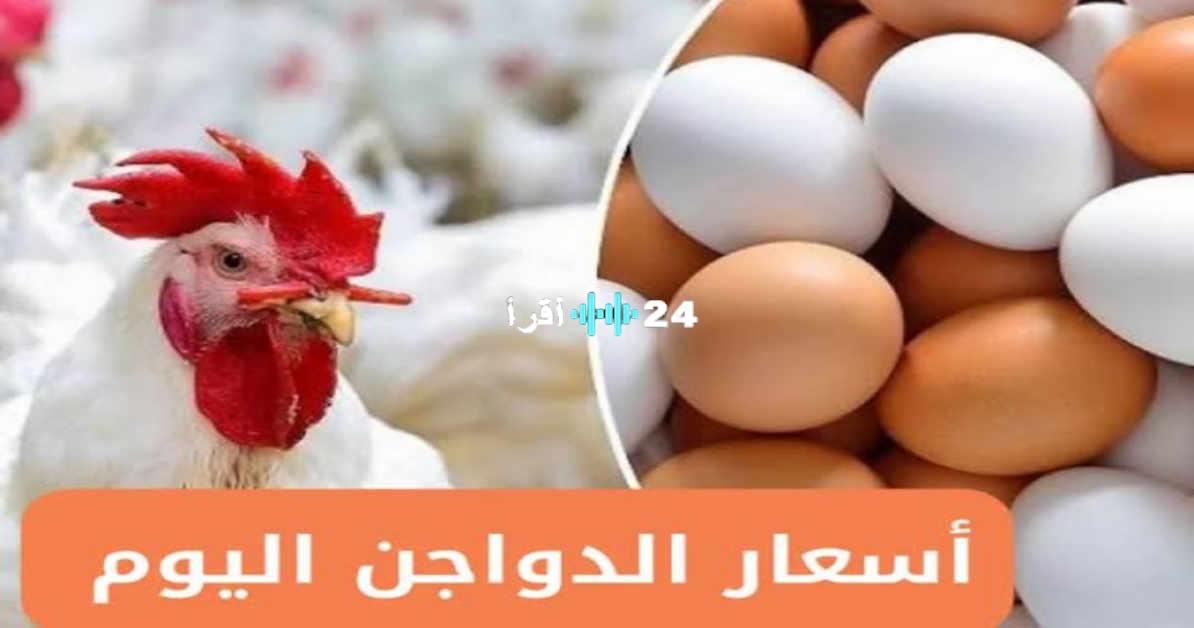 «الحق يا معلم!».. أسعار الفراخ البيضاء نار في بورصة الدواجن اليوم الإثنين