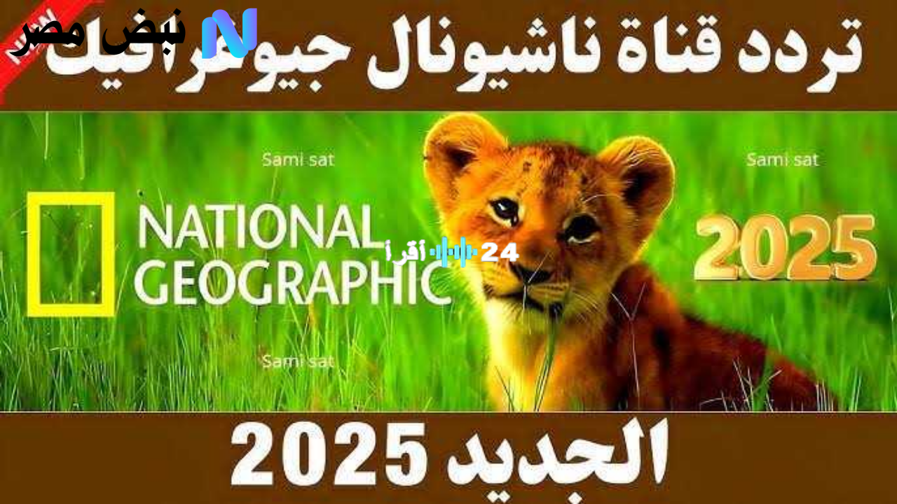 «لا تفوتوا متعة المشاهدة» التردد الجديد لقناة ناشيونال جيوغرافيك على نايل سات وعرب سات 2025 بجودة فائقة