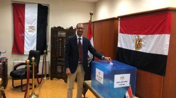 «صوت الوطن» المصريون في الخارج يشاركون بكثافة في جولة الإعادة لانتخابات مجلس الشيوخ 2025