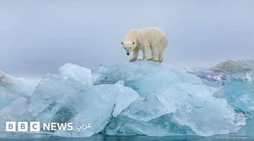 السياحة الأخيرة فرصة لإنقاذ البيئة أم استغلالها؟