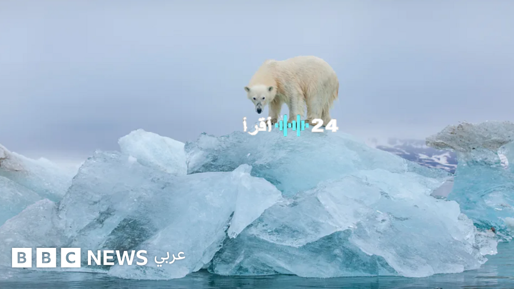 السياحة الأخيرة فرصة لإنقاذ البيئة أم استغلالها؟