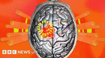 «تأثيرات كارثية محتملة».. دراسة تكشف كيف تقوض الحرارة المرتفعة الأداء المعرفي للإنسان