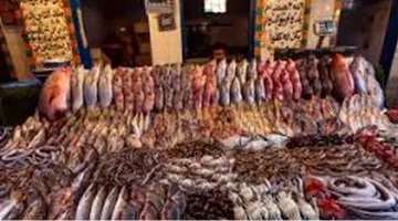 «تحديث فوري» أسعار السمك تتأرجح اليوم الخميس في حلقات البيع وسوق العبور 14 أغسطس 2025