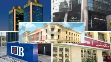 «ضربة استباقية للجمهور» البنوك المصرية تُعلن عن 5 خدمات مجانية لعملائها في أغسطس 2025