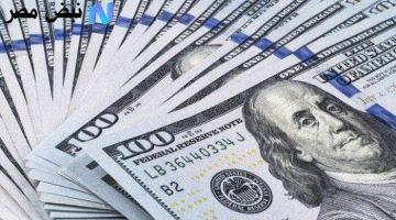 «هدوء حذر».. استقرار نسبي في سعر الدولار بالبنوك المصرية اليوم السبت 9 أغسطس 2025