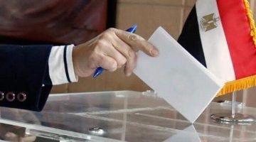 «إقبال ملحوظ».. المصريون بإيطاليا ينهون التصويت في انتخابات مجلس الشيوخ