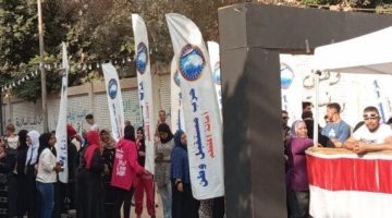 بدء عمليات فرز الأصوات في لجان انتخابات مجلس الشيوخ 2025