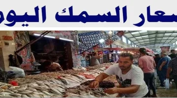 «السمك بكام».. أسعار السمك اليوم الأربعاء 13 أغسطس 2025 بسوق العبور للتجار والمستهلكين