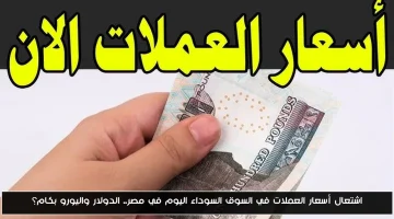 سعر الدولار واليورو يشتعلان في السوق السوداء المصرية.. إلى أين تتجه العملة؟