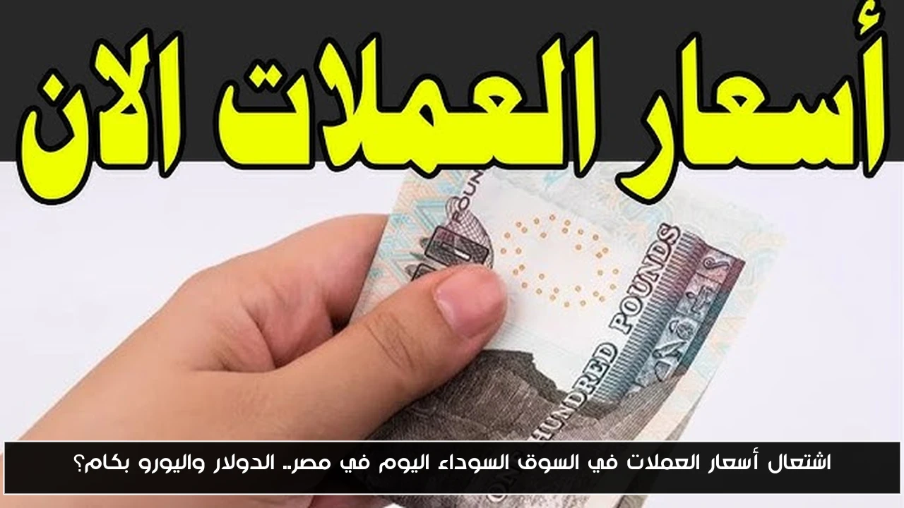 سعر الدولار واليورو يشتعلان في السوق السوداء المصرية.. إلى أين تتجه العملة؟