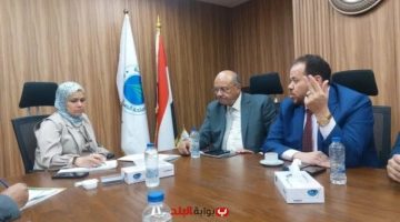 «نافذة جديدة للثقة» رشا عبد العال تطلق مبادرة للحوار مع مجتمع الأعمال لإصلاح النظام الضريبي
