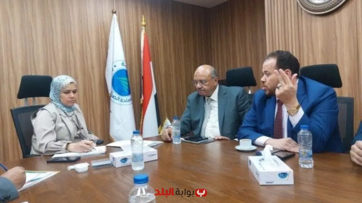 «نافذة جديدة للثقة» رشا عبد العال تطلق مبادرة للحوار مع مجتمع الأعمال لإصلاح النظام الضريبي