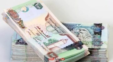 «تذبذبات مستمرة» الدرهم الإماراتي يواجه الجنيه المصري اليوم السبت: نظرة على آخر تحديثات السوق 9 أغسطس 2025