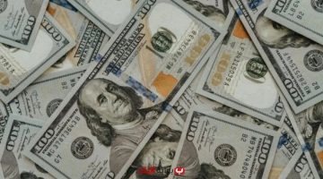 «صعود مستمر» الدولار يقفز إلى 48.42 جنيه في ختام تعاملات الأحد