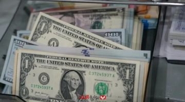 «الدولار يترنح» سعر صرف الدولار اليوم الإثنين في بنك مصر والأهلي وCIB