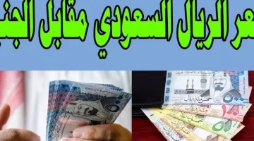 «توقعات السوق» الريال السعودي يحافظ على استقراره في مصر مع ارتفاع طفيف الثلاثاء 19 أغسطس 2025