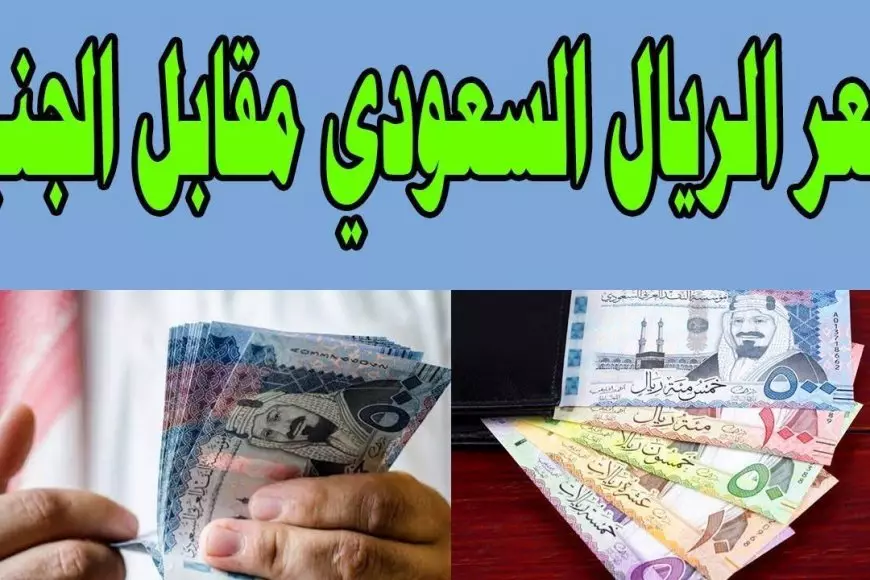 «توقعات السوق» الريال السعودي يحافظ على استقراره في مصر مع ارتفاع طفيف الثلاثاء 19 أغسطس 2025