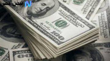سعر الدولار اليوم في مصر استقرار نسبي بعد تراجع محدود
