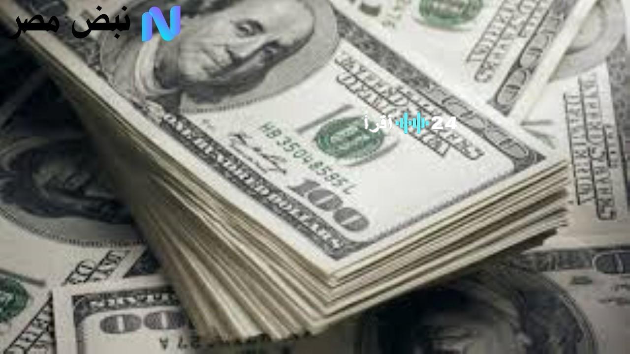 سعر الدولار اليوم في مصر استقرار نسبي بعد تراجع محدود