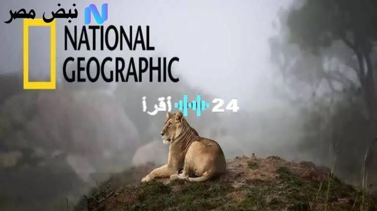 «استقبال ممتع ومضمون» تردد قناة ناشيونال جيوغرافيك الجديد 2025: شاهد عالمك بوضوح على جميع الأقمار الصناعية