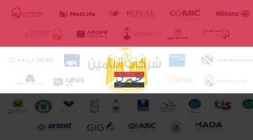«مهلة حاسمة» قطاع التأمين المصري على أعتاب مرحلة جديدة مع اقتراب نهاية فترة تقديم القوائم المالية