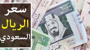 «تحديث فوري» الريال السعودي يستقر في البنوك المصرية اليوم الأحد 31 أغسطس 2025