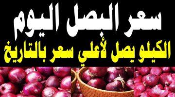«تذبذب في الأسعار» البصل الأحمر والأبيض يثير جدلاً في الأسواق وسوق العبور اليوم الثلاثاء