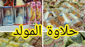 «حلاوة المولد في 2025» تباين أسعار حلاوة المولد النبوي بين الفاخر والشعبي يثير التساؤلات حول الجودة والقيمة في الأسواق