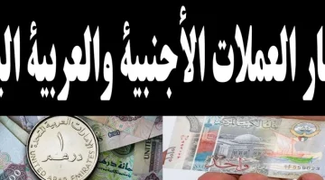 «جنون الأسعار» الدولار واليورو يكتسحان الجنيه المصري في السوق السوداء.. قفزة تاريخية للعملات الأجنبية