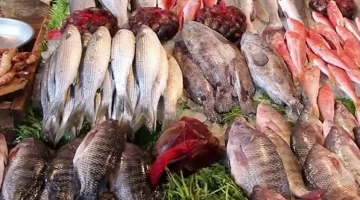 «صدمة في سوق العبور» ارتفاع مفاجئ بأسعار الأسماك اليوم الأربعاء