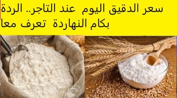 «الدقيق بكام النهاردة» تحركات ملحوظة بأسعار الدقيق لدى التجار الاربعاء.. وهذا هو سعر طن الردة
