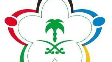 وزارة الرياضة تفتح باب الاستحواذ على ناديين بدوري روشن السعودي