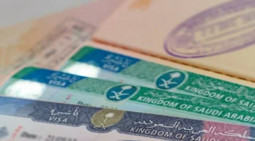 «دليلك الشامل» خطوات الحصول على تأشيرة عمل في السعودية إلكترونيًا لعام 1446
