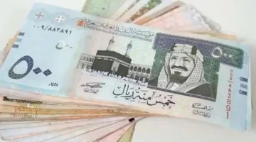 صعود ملحوظ الريال السعودي يحقق قفزة مقابل الجنيه المصري في تعاملات اليوم