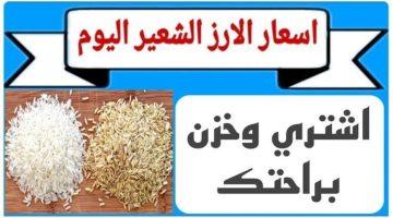«طن الرز بكام» أسعار الأرز تتأرجح اليوم في السوق المحلي.. وغموض يحيط بتسعيرة طن الشعير