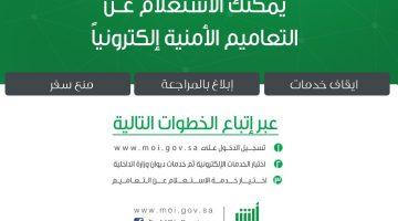 «قيود السفر تتصدر المشهد».. هل يمنع إيقاف الخدمات السفر أو تجديد الجواز؟ إليك كيفية الاستعلام
