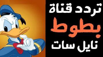 «بهجة الطفولة» تردد قناة بطوط الجديد 2025 على نايل سات نافذة على عالم الكرتون الساحر للأطفال