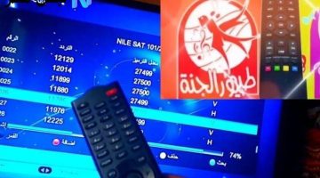 «استقبال بلا تشويش» تردد قناة طيور الجنة 2025: متعة المشاهدة بأعلى جودة للأطفال على النايل سات
