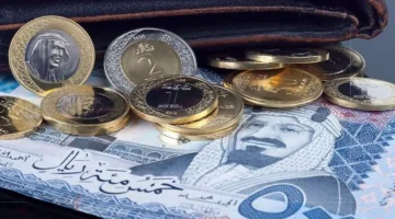 «استقرار نسبي» الريال السعودي يحافظ على مستواه أمام الجنيه المصري في تعاملات الأحد 17 أغسطس 2025 بالبنوك