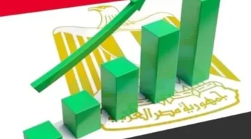 «قفزة نوعية» 305 ملايين دولار حجم التبادل التجاري بين مصر وغانا في 2024..تحسن ملحوظ في الاقتصاد