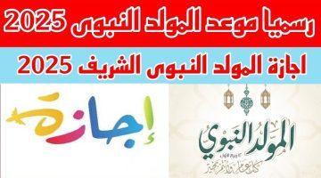 «تعرف على» الإجازات الرسمية في مصر 2025 وموعد عطلة المولد النبوي الشريف