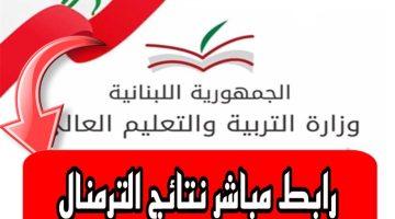 نتائج الترمينال 2025 في لبنان.. الاستعلام برقم الترشيح عبر وزارة التربية