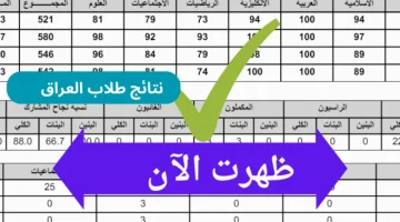 ملفات pdf بالاسم عموم المحافظات رابط نتائج السادس الابتدائي الدور الثاني 2025 موقع نتائجنا