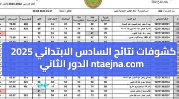 «عاجل» نتائج السادس الإعدادي الدور الثاني 2025 متاحة الآن في جميع المحافظات عبر موقع نتائجنا بصيغة PDF