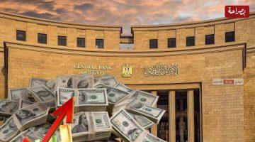 البنك المركزي يعلن ارتفاع الاحتياطي الأجنبي إلى 49.25 مليار دولار في أغسطس